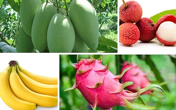 Kim ngạch kuất khẩu năm 2017 đạt mức kỷ lục trong nhiều năm qua trên 213 tỷ Đô la Mỹ. Ảnh: NTNN. Kim ngạch kuất khẩu năm 2017 đạt mức kỷ lục trong nhiều năm qua trên 213 tỷ Đô la Mỹ. Ảnh: NTNN.