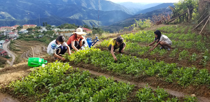 Buổi chiều hàng ngày học sinh Trường Thu Lũm tham gia tăng gia sản xuất, trồng rau sạch, cải thiện bữa ăn. Ảnh: NVCC. Buổi chiều hàng ngày học sinh Trường Thu Lũm tham gia tăng gia sản xuất, trồng rau sạch, cải thiện bữa ăn. Ảnh: NVCC.