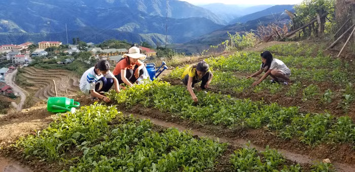 Buổi chiều hàng ngày học sinh Trường Thu Lũm tham gia tăng gia sản xuất, trồng rau sạch, cải thiện bữa ăn. Ảnh: NVCC.