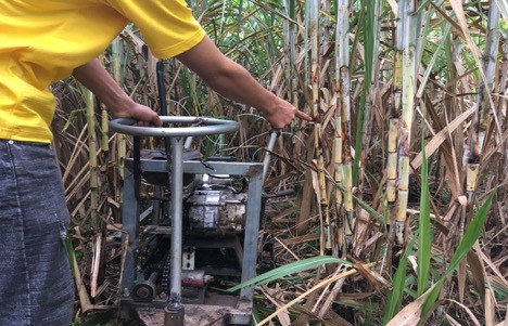 Vận hành thử trên ruộng mía. Ảnh: An Anh