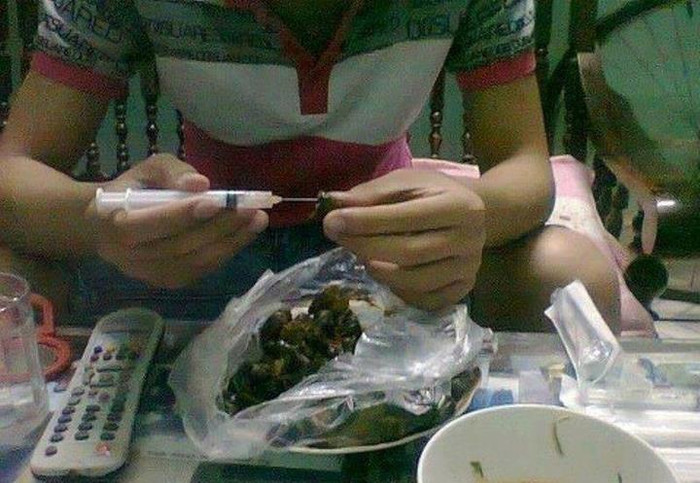 Khêu ốc...bá đạo. Khêu ốc...bá đạo.