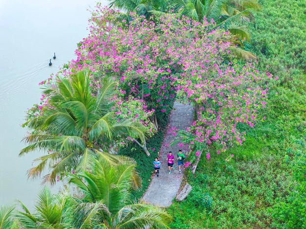 Thiên nhiên là “thang thuốc bổ” cho thể chất, tinh thần Picture3.jpg