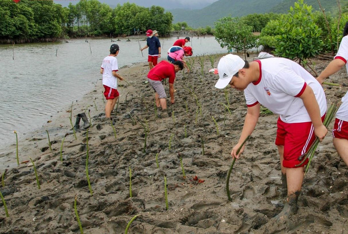 Học sinh trường iSchool Nha Trang tham gia chiến dịch "iSchool For Community" do Hệ thống iSchool phát động. Ảnh: iSchool Nha Trang. hs2.jpg