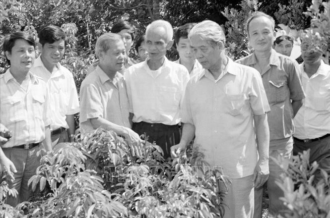 Tổng Bí thư Đỗ Mười thăm một hộ làm kinh tế giỏi ở thị trấn Chũ, huyện Lục Ngạn, tỉnh Bắc Giang (tháng 9/1994). Ảnh: Xuân Lâm/TTXVN Tổng Bí thư Đỗ Mười thăm một hộ làm kinh tế giỏi ở thị trấn Chũ, huyện Lục Ngạn, tỉnh Bắc Giang (tháng 9/1994). Ảnh: Xuân Lâm/TTXVN