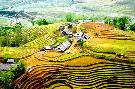 Tiếng Việt và những biến đổi thú vị ảnh 5 Tiếng Việt và những biến đổi thú vị ảnh 5