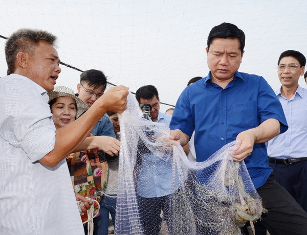 “Có rừng, có biển… tại sao vẫn nghèo?” ảnh 1 “Có rừng, có biển… tại sao vẫn nghèo?” ảnh 1