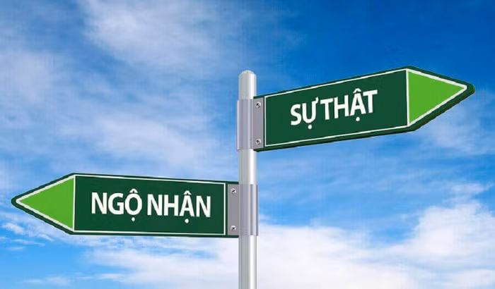 Nhà giáo Dương Quốc Việt luận bàn về dối trá ảnh 5