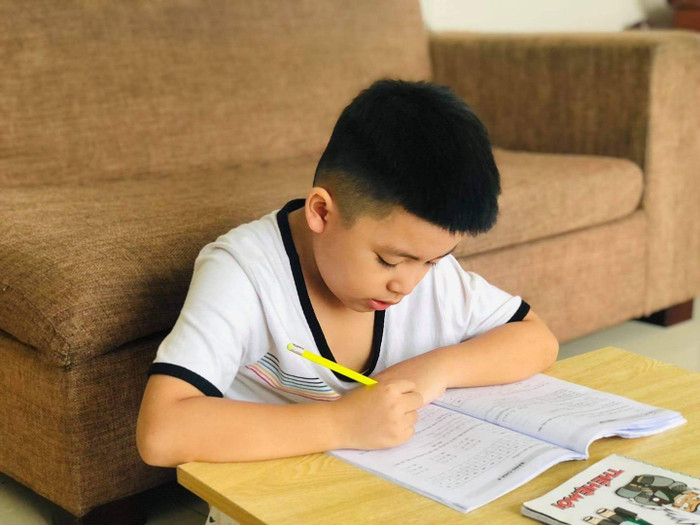 Học sinh Thành phố Hồ Chí Minh học bài ở nhà (ảnh minh họa: P.N) Học sinh Thành phố Hồ Chí Minh học bài ở nhà (ảnh minh họa: P.N)