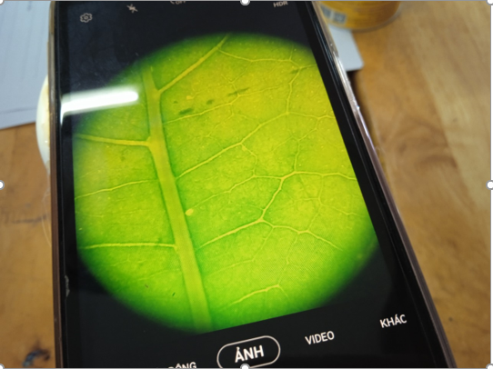 Sản phẩm STEM sau tiết học Chế tạo kính hiển vi từ điện thoại thông minh. (Ảnh: CTV) Sản phẩm STEM sau tiết học Chế tạo kính hiển vi từ điện thoại thông minh. (Ảnh: CTV)