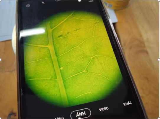 Sản phẩm STEM sau tiết học Chế tạo kính hiển vi từ điện thoại thông minh. (Ảnh: CTV) Sản phẩm STEM sau tiết học Chế tạo kính hiển vi từ điện thoại thông minh. (Ảnh: CTV)