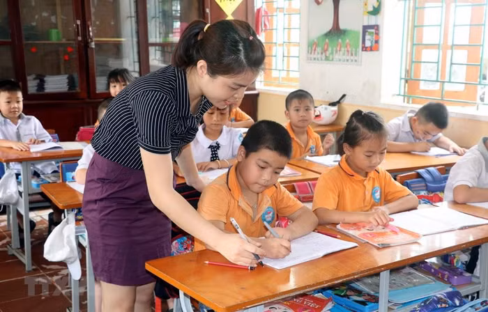 Ảnh minh họa: TTXVN