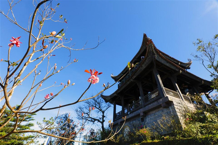 Khu tâm linh trên đỉnh Bà Nà là khu vực tập trung nhiều cây hoa Đào chuông nhất. Bên những mái chùa, nhành đào chuông khẽ nở, khung cảnh thanh tịnh, an yên ấy khiến người ta cứ muốn níu lại nơi này mãi. (Ảnh: NAG Phạm Phùng) Khu tâm linh trên đỉnh Bà Nà là khu vực tập trung nhiều cây hoa Đào chuông nhất. Bên những mái chùa, nhành đào chuông khẽ nở, khung cảnh thanh tịnh, an yên ấy khiến người ta cứ muốn níu lại nơi này mãi. (Ảnh: NAG Phạm Phùng)