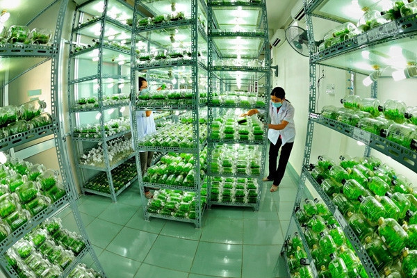 Doanh nghiệp tư nhân không chỉ gặp khó về cạnh tranh, nhiều rào cản, điều kiện kinh doanh mà còn bị vòi vĩnh. Ảnh: VGP. Doanh nghiệp tư nhân không chỉ gặp khó về cạnh tranh, nhiều rào cản, điều kiện kinh doanh mà còn bị vòi vĩnh. Ảnh: VGP.