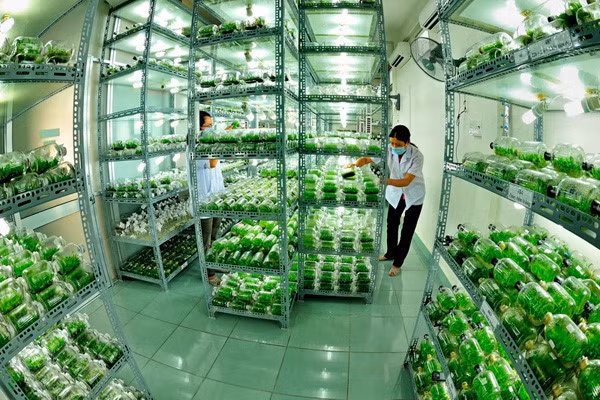 Doanh nghiệp tư nhân không chỉ gặp khó về cạnh tranh, nhiều rào cản, điều kiện kinh doanh mà còn bị vòi vĩnh. Ảnh: VGP.