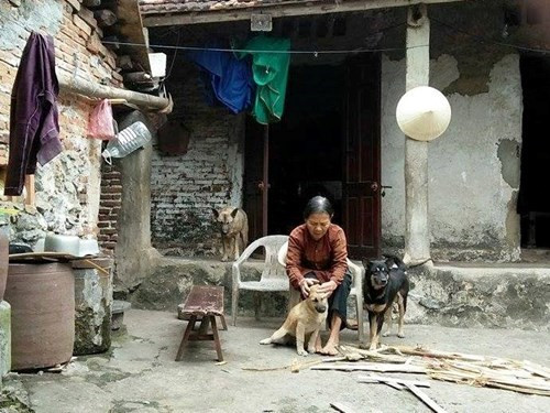 Niềm tin như chồi xanh, tốt tươi khi mùa xuân đến ảnh 2 Niềm tin như chồi xanh, tốt tươi khi mùa xuân đến ảnh 2