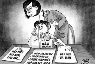 Chương trình Ngữ văn mới giáo viên phải có năng lực thật sự ảnh 3 Chương trình Ngữ văn mới giáo viên phải có năng lực thật sự ảnh 3
