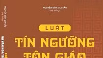 Họ đã ngoan cố “đạp lên pháp luật” ảnh 2