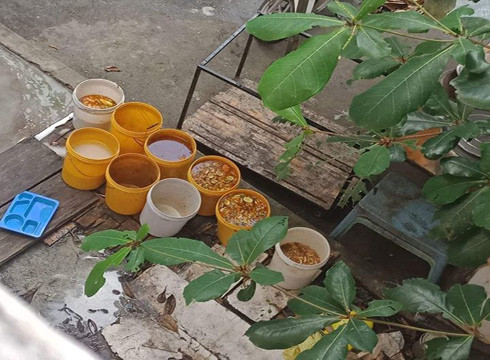 Các xô đựng nước, đồ ăn thừa của học sinh bỏ lại rất bẩn, ruồi tụ lại rất nhiều (ảnh: CTV) Các xô đựng nước, đồ ăn thừa của học sinh bỏ lại rất bẩn, ruồi tụ lại rất nhiều (ảnh: CTV)