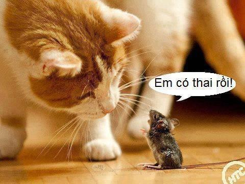 Thế nào là cảm giác sốc? Thế nào là cảm giác sốc?