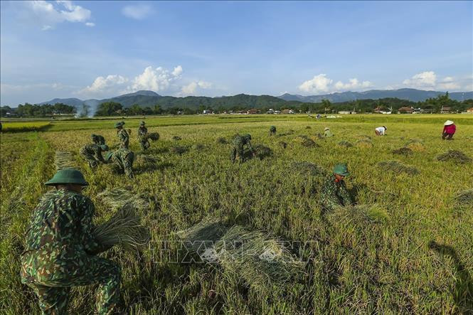 Cán bộ chiến sỹ Trung đoàn 82 (Quân khu 2) giúp dân gặt lúa tại phường Thanh Trường, thành phố Điện Biên Phủ. Ảnh: Phan Tuấn Anh/TTXVN Cán bộ chiến sỹ Trung đoàn 82 (Quân khu 2) giúp dân gặt lúa tại phường Thanh Trường, thành phố Điện Biên Phủ. Ảnh: Phan Tuấn Anh/TTXVN