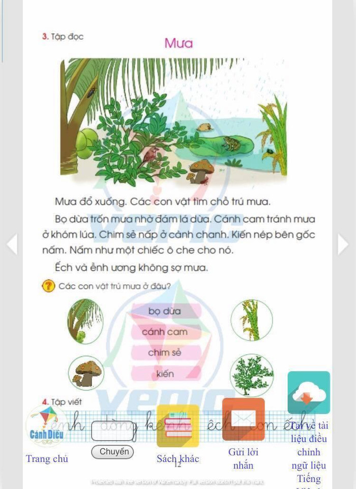 (Ảnh do tác giả cung cấp) (Ảnh do tác giả cung cấp)