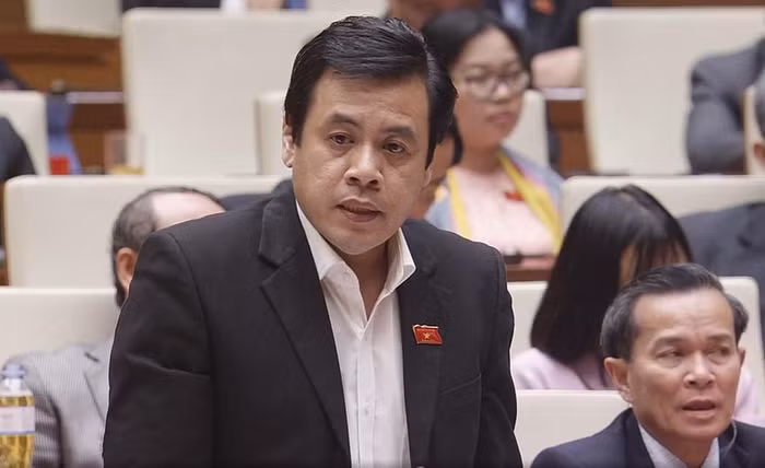 Đại biểu Trần Anh Tuấn (đoàn Thành phố Hồ Chí Minh)