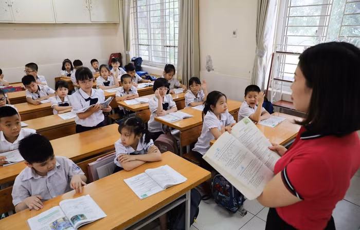 Giáo viên tiểu học được tuyển dụng năm 2005 có bằng đại học đến nay vẫn xếp lương trung cấp là đúng hay sai? (Ảnh minh họa: Thanh Tùng/TTXVN)