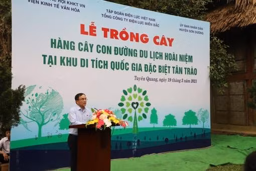 Ông Dương Quang Thành - Chủ tịch Tập đoàn Điện lực Việt Nam