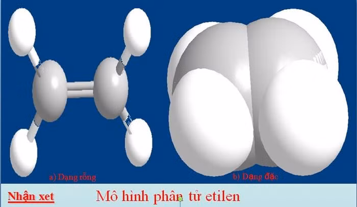 Mô hình phân tử Etylen (Ảnh do tác giả cung cấp)