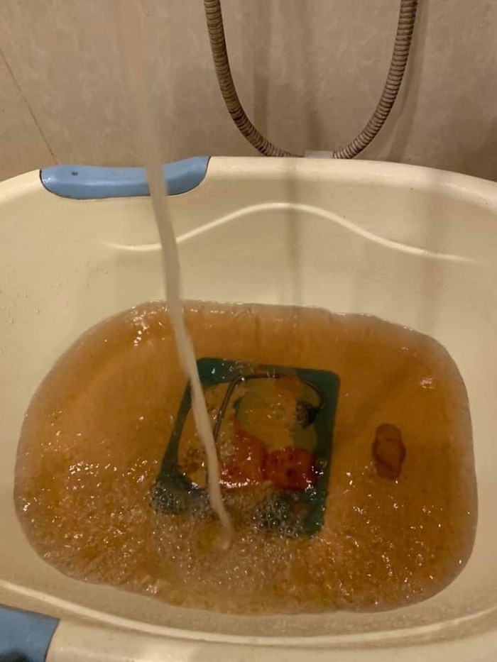 Sức khỏe của người dân sẽ bị ảnh hưởng nghiêm trọng vì dùng nước sinh hoạt bẩn. Sức khỏe của người dân sẽ bị ảnh hưởng nghiêm trọng vì dùng nước sinh hoạt bẩn.