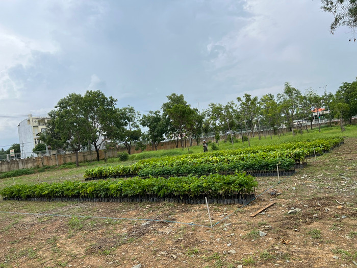 Vườn ươm được xây dựng tại Trung tâm Giáo dục Quốc phòng An ninh, Đại học Quốc gia Thành phố Hồ Chí Minh. 3.jpg