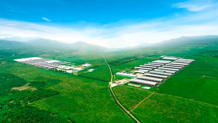 Trang trại NutiMilk nhìn từ trên cao Trang trại NutiMilk nhìn từ trên cao