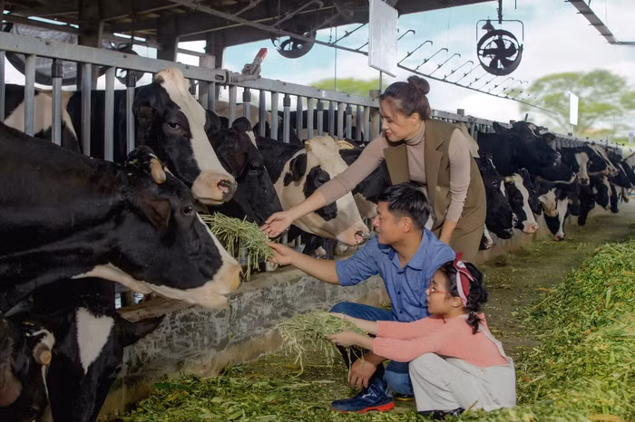 Ngay lúc này, mẹ hãy ghi nhớ cẩm nang dinh dưỡng an toàn để con luôn khỏe mạnh ảnh 3