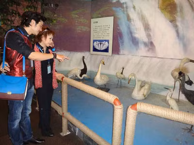 Yvonne Thúy Hoàng đeo nó cả khi mặc áo sơ mi Yvonne Thúy Hoàng đeo nó cả khi mặc áo sơ mi