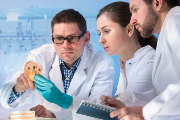 Nhà khoa học Tây cũng mất 4 năm, 7 tháng để công bố một bài nghiên cứu ảnh 1