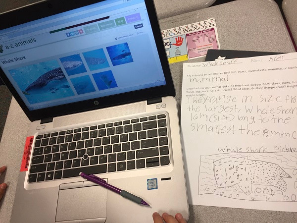 Các bé có thể tìm hình ảnh các loài động vật bằng máy tính Các bé có thể tìm hình ảnh các loài động vật bằng máy tính