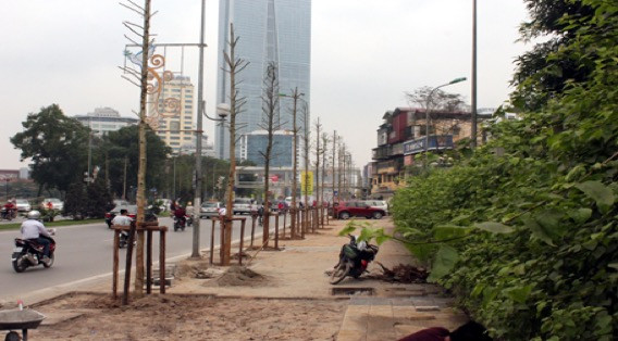 “Đồng phục gỗ mỡ” trên phố Nguyễn Chí Thanh (Ảnh Dantri.com.vn) “Đồng phục gỗ mỡ” trên phố Nguyễn Chí Thanh (Ảnh Dantri.com.vn)