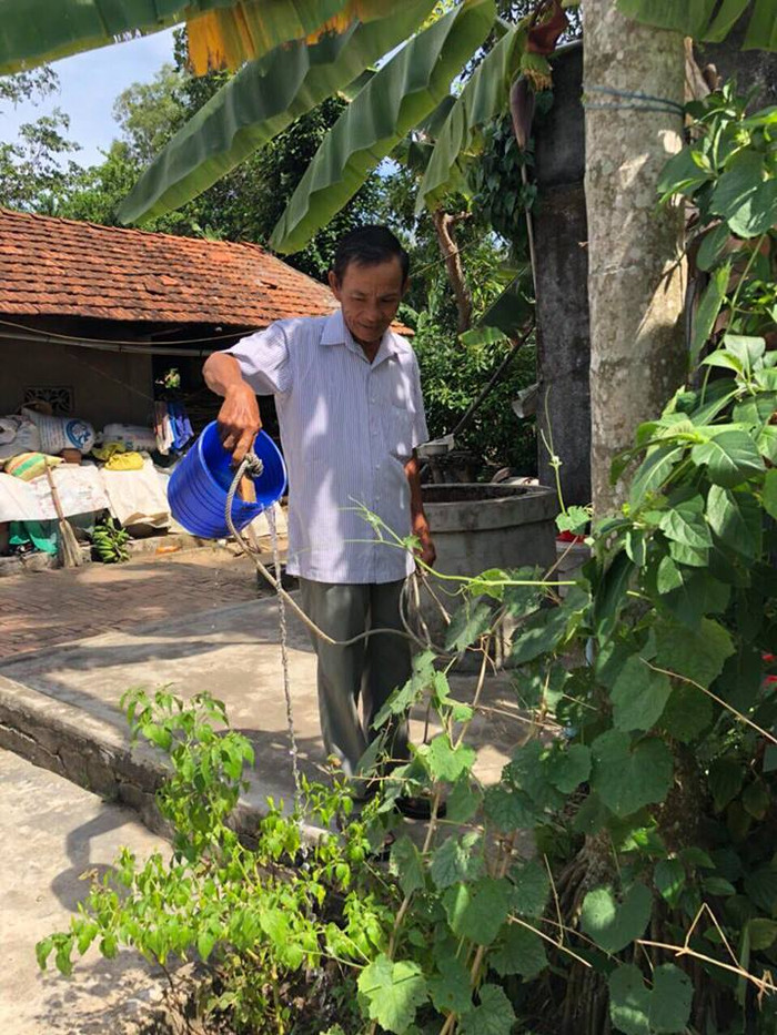 Ông Đinh Đức Niệm chăm sóc vườn rau. Ảnh: An Phúc