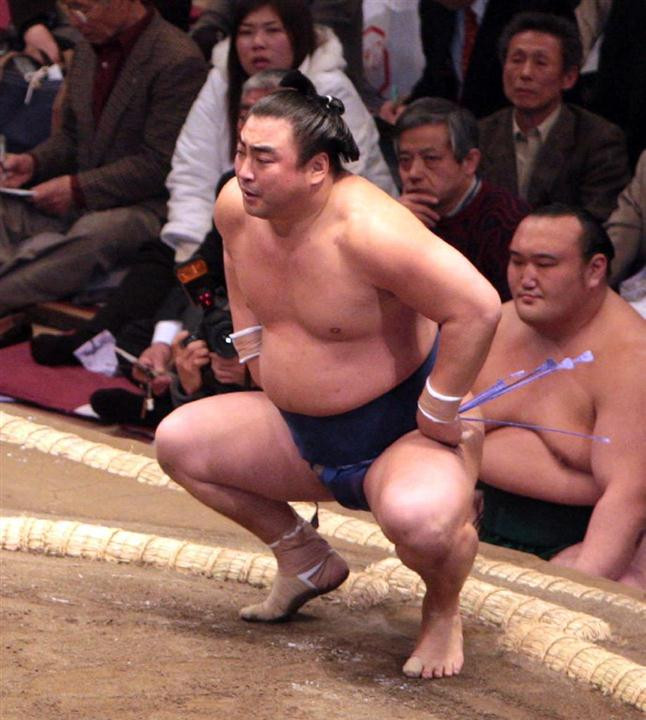 Sumo tham dự lễ hội Mặt trời mọc