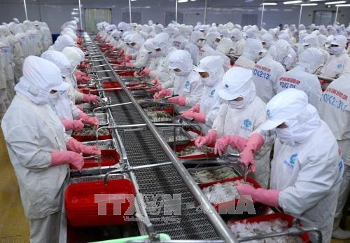 Ảnh minh họa: TTXVN Ảnh minh họa: TTXVN