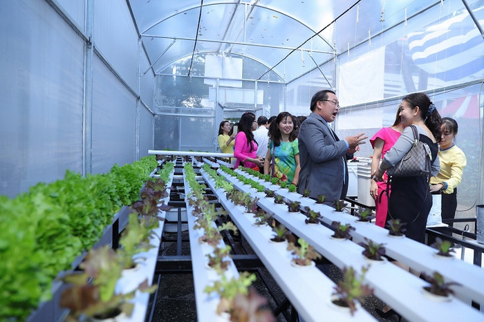 Ông Phạm Đăng Khoa - Hiệu trưởng cùng các đại biểu tham quan nhà kính Vườn sinh vật 4.0, trồng rau sạch và quản lý vườn sinh vật bằng phần mềm theo định hướng Internet of things của trường. Ảnh: Lý Võ Phú Hưng Ông Phạm Đăng Khoa - Hiệu trưởng cùng các đại biểu tham quan nhà kính Vườn sinh vật 4.0, trồng rau sạch và quản lý vườn sinh vật bằng phần mềm theo định hướng Internet of things của trường. Ảnh: Lý Võ Phú Hưng