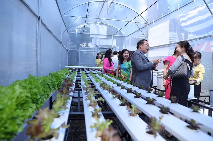 Ông Phạm Đăng Khoa - Hiệu trưởng cùng các đại biểu tham quan nhà kính Vườn sinh vật 4.0, trồng rau sạch và quản lý vườn sinh vật bằng phần mềm theo định hướng Internet of things của trường. Ảnh: Lý Võ Phú Hưng