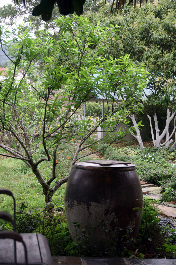 Bên cạnh chòi một chiếc chum nước gợi không gian cuộc sống thôn dã. Xem tiếp: Ngỡ ngàng ngắm vườn cây, ao cá, chuồng gà nhà ca sỹ Mỹ Linh (P1) // Buổi họp báo có một không hai tại nhà diva Mỹ Linh // Thành Chương 'đánh liều' kể chuyện '3 chìm 4 nổi' của Mỹ Linh Bên cạnh chòi một chiếc chum nước gợi không gian cuộc sống thôn dã. Xem tiếp: Ngỡ ngàng ngắm vườn cây, ao cá, chuồng gà nhà ca sỹ Mỹ Linh (P1) // Buổi họp báo có một không hai tại nhà diva Mỹ Linh // Thành Chương 'đánh liều' kể chuyện '3 chìm 4 nổi' của Mỹ Linh