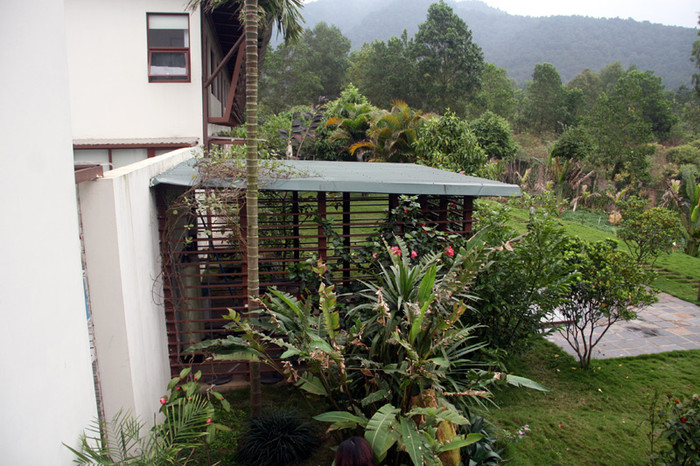 Khu vực đằng sau nhà với rất nhiều cây xanh, tạo nên một không giang thoáng đãng, trong lành cho nơi ở. Xem tiếp: Ngỡ ngàng ngắm vườn cây, ao cá, chuồng gà nhà ca sỹ Mỹ Linh (P1) // Buổi họp báo có một không hai tại nhà diva Mỹ Linh // Thành Chương 'đánh liều' kể chuyện '3 chìm 4 nổi' của Mỹ Linh Khu vực đằng sau nhà với rất nhiều cây xanh, tạo nên một không giang thoáng đãng, trong lành cho nơi ở. Xem tiếp: Ngỡ ngàng ngắm vườn cây, ao cá, chuồng gà nhà ca sỹ Mỹ Linh (P1) // Buổi họp báo có một không hai tại nhà diva Mỹ Linh // Thành Chương 'đánh liều' kể chuyện '3 chìm 4 nổi' của Mỹ Linh