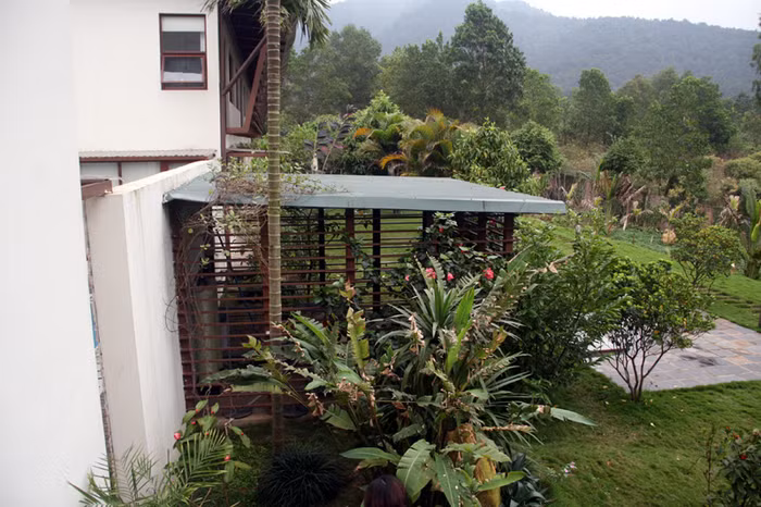 Khu vực đằng sau nhà với rất nhiều cây xanh, tạo nên một không giang thoáng đãng, trong lành cho nơi ở. Xem tiếp: Ngỡ ngàng ngắm vườn cây, ao cá, chuồng gà nhà ca sỹ Mỹ Linh (P1) // Buổi họp báo có một không hai tại nhà diva Mỹ Linh // Thành Chương 'đánh liều' kể chuyện '3 chìm 4 nổi' của Mỹ Linh