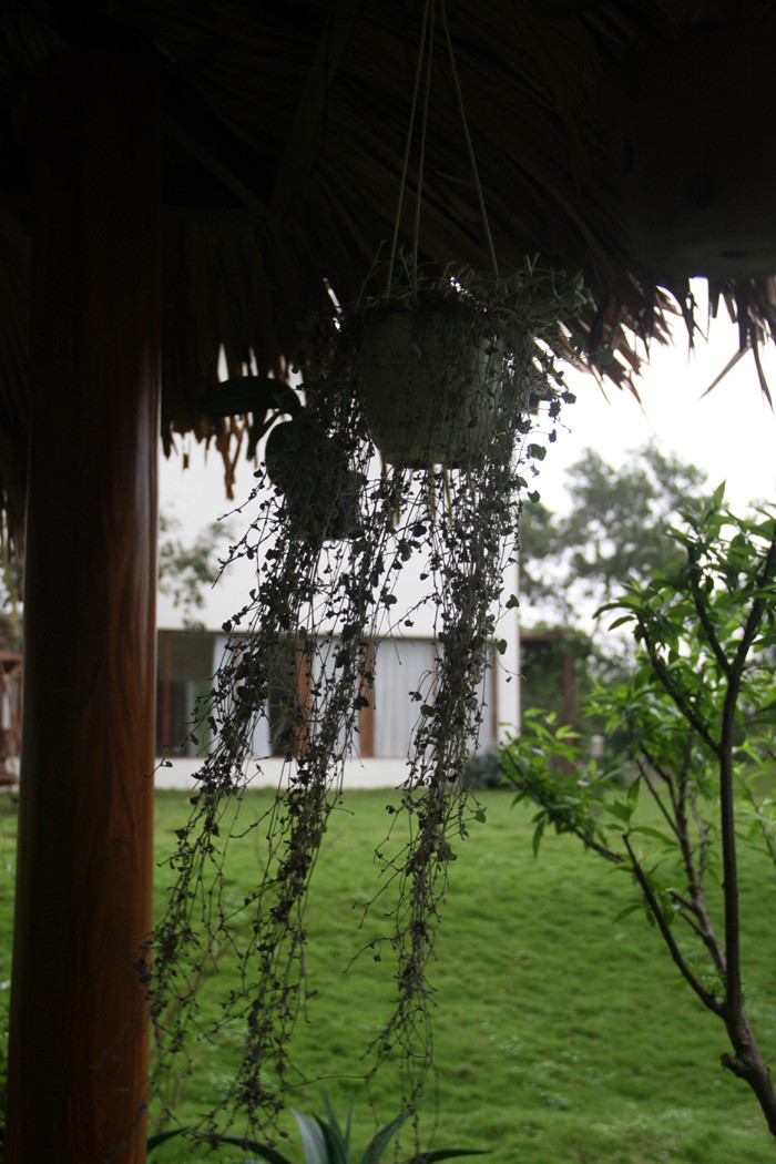 Từ chòi nhìn vào nhà. Xem tiếp: Ngỡ ngàng ngắm vườn cây, ao cá, chuồng gà nhà ca sỹ Mỹ Linh (P1) // Buổi họp báo có một không hai tại nhà diva Mỹ Linh // Thành Chương 'đánh liều' kể chuyện '3 chìm 4 nổi' của Mỹ Linh Từ chòi nhìn vào nhà. Xem tiếp: Ngỡ ngàng ngắm vườn cây, ao cá, chuồng gà nhà ca sỹ Mỹ Linh (P1) // Buổi họp báo có một không hai tại nhà diva Mỹ Linh // Thành Chương 'đánh liều' kể chuyện '3 chìm 4 nổi' của Mỹ Linh