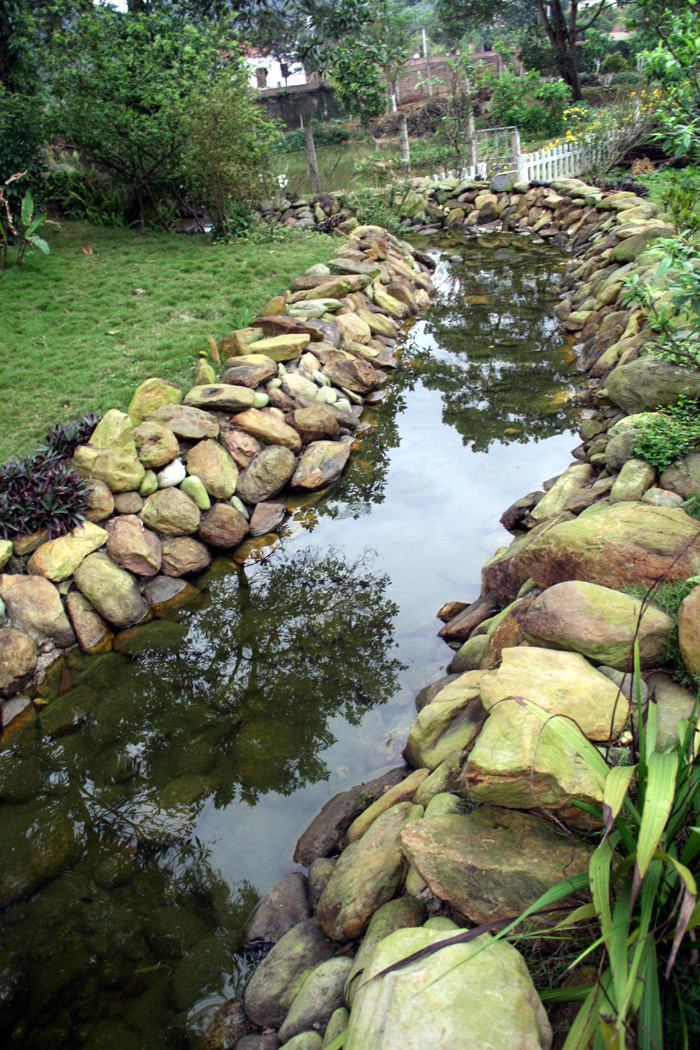 Suối cá cảnh kéo dài ra tận ao Xem tiếp: Ngỡ ngàng ngắm vườn cây, ao cá, chuồng gà nhà ca sỹ Mỹ Linh (P1) // Buổi họp báo có một không hai tại nhà diva Mỹ Linh // Thành Chương 'đánh liều' kể chuyện '3 chìm 4 nổi' của Mỹ Linh Suối cá cảnh kéo dài ra tận ao Xem tiếp: Ngỡ ngàng ngắm vườn cây, ao cá, chuồng gà nhà ca sỹ Mỹ Linh (P1) // Buổi họp báo có một không hai tại nhà diva Mỹ Linh // Thành Chương 'đánh liều' kể chuyện '3 chìm 4 nổi' của Mỹ Linh