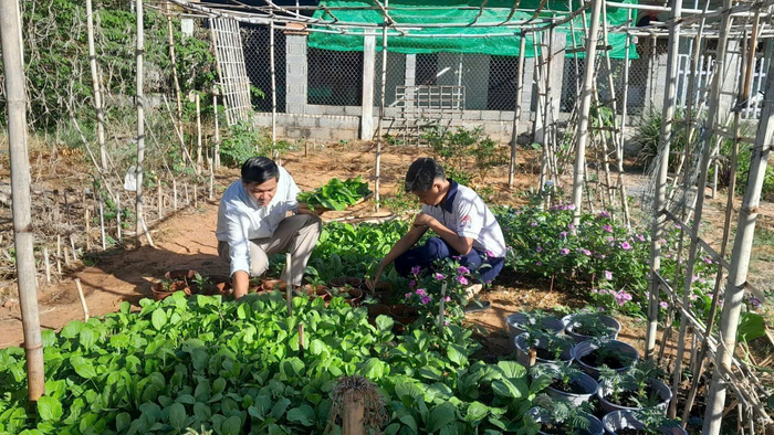 Một số hình ảnh thầy trò chăm sóc, thu hoạch rau quả trong câu lạc bộ “Vườn trường của em”. vuontruongcuaem2.giaoduc.net.vn.png