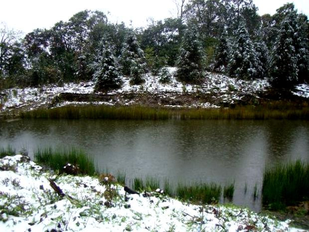 Mùa đông năm 2012 tại Tây Côn Lĩnh cũng đã xuất hiện băng tuyết khiến cho cảnh sắc nơi đây đẹp tựa như những cánh rừng NaUy Mùa đông năm 2012 tại Tây Côn Lĩnh cũng đã xuất hiện băng tuyết khiến cho cảnh sắc nơi đây đẹp tựa như những cánh rừng NaUy