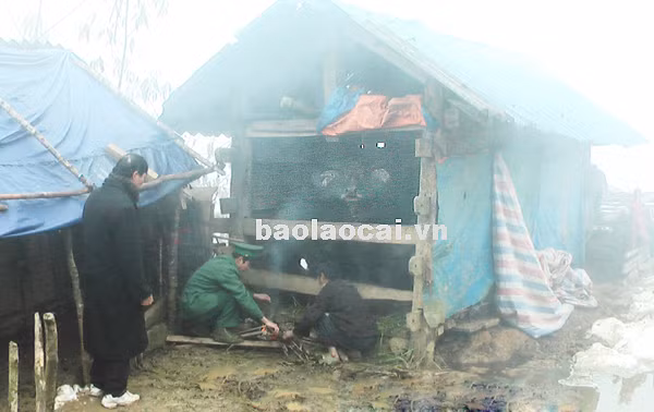 Cán bộ biên phòng giúp dân chống rét cho gia súc.